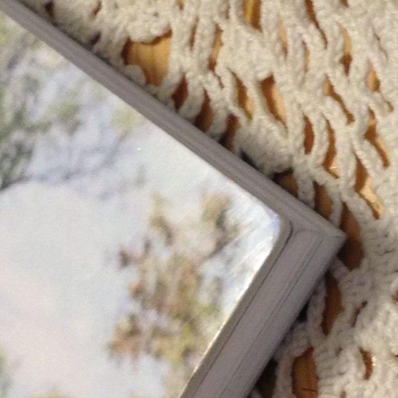 Wildlife Photography, Adventure - GPS Go . Play . Share - Picture 6 of 8